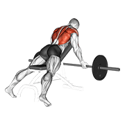 barbell reverse grip incline bench row exercise demonstration
