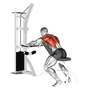 cable incline bench row dimostrazione dell’esercizio