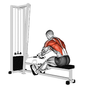 cable rope crossover seated row exercise demonstration