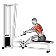 cable rope elevated seated row exercise demonstration