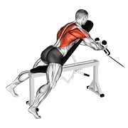 cable rope extension incline bench row 动作演示