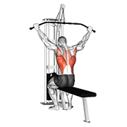 cable wide grip rear pulldown behind neck exercise demonstration