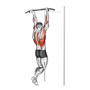 chin-up exercise demonstration