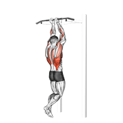 close grip chin-up dimostrazione dell’esercizio