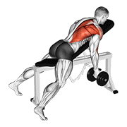 dumbbell reverse grip incline bench one arm row exercise demonstration