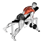 dumbbell reverse grip incline bench two arm row egzersiz gösterimi