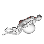 exercise ball back extension with arms extended 动作演示