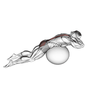 exercise ball back extension with hands behind head egzersiz gösterimi