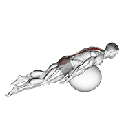 exercise ball back extension with knees off ground egzersiz gösterimi