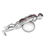 exercise ball back extension with rotation dimostrazione dell’esercizio
