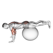 exercise ball prone leg raise exercise demonstration