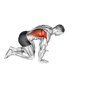 kneeling lat stretch 动作演示