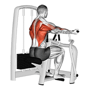 lever reverse grip vertical row egzersiz gösterimi