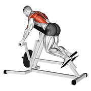 lever reverse t-bar row dimostrazione dell’esercizio