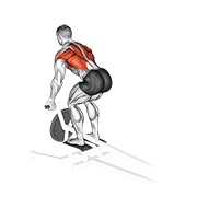 lever t-bar reverse grip row exercise demonstration