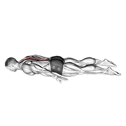 lower back curl 动作演示