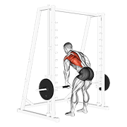 smith one arm row egzersiz gösterimi