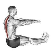 spine stretch egzersiz gösterimi