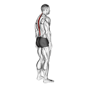 standing pelvic tilt dimostrazione dell’esercizio