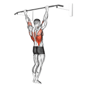 wide grip rear pull-up exercise demonstration