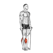 band two legs calf raise - (band under both legs) v. 2 exercise demonstration