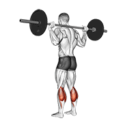 barbell floor calf raise exercise demonstration