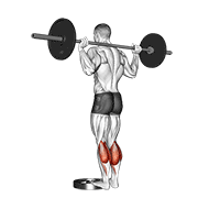 barbell standing calf raise dimostrazione dell’esercizio