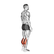bodyweight standing calf raise 动作演示