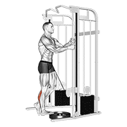 cable standing one leg calf raise 动作演示