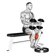 dumbbell seated calf raise 动作演示
