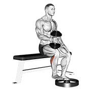 dumbbell seated one leg calf raise - hammer grip exercise demonstration