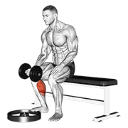 dumbbell seated one leg calf raise - palm up 动作演示