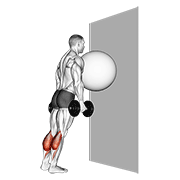 exercise ball on the wall calf raise dimostrazione dell’esercizio