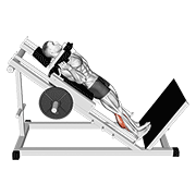hack calf raise exercise demonstration