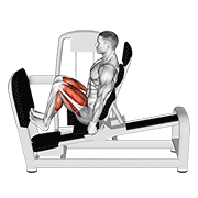 lever seated squat calf raise on leg press machine 动作演示