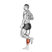one leg floor calf raise 动作演示