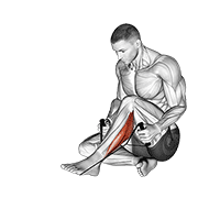 peroneals stretch exercise demonstration