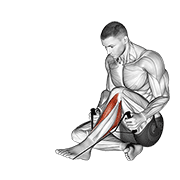 posterior tibialis stretch exercise demonstration