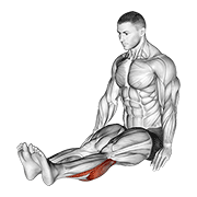 seated calf stretch (male) dimostrazione dell’esercizio