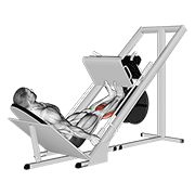 sled calf press on leg press dimostrazione dell’esercizio