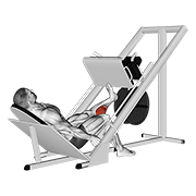 sled one leg calf press on leg press 动作演示