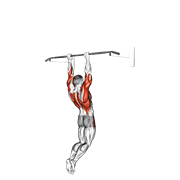 muscle-up (on vertical bar) 动作演示