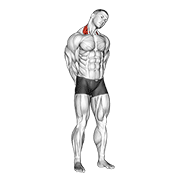 neck side stretch exercise demonstration