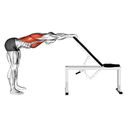 back pec stretch exercise demonstration