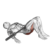 barbell glute bridge dimostrazione dell’esercizio