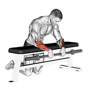 barbell palms down wrist curl over a bench exercise demonstration