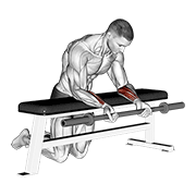 barbell palms up wrist curl over a bench 动作演示