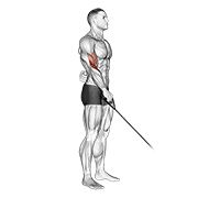 cable reverse one arm curl egzersiz gösterimi