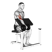 dumbbell one arm reverse preacher curl 动作演示