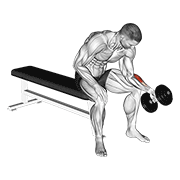 dumbbell one arm seated neutral wrist curl 动作演示